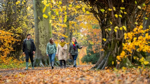 A group of friends on an autumn walk at Hardwick, Derbyshire
